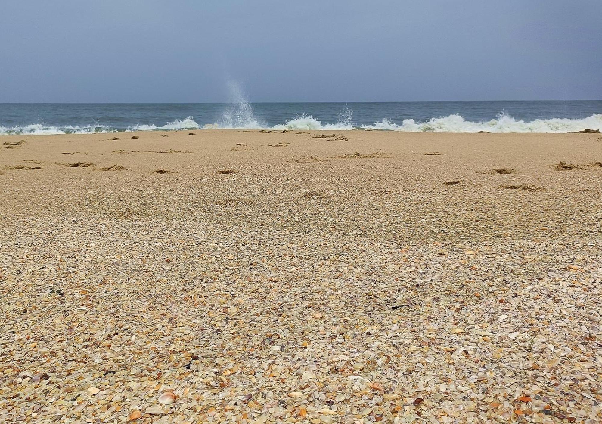 Marari Beach Cleetus Homestay Mararikulam Εξωτερικό φωτογραφία