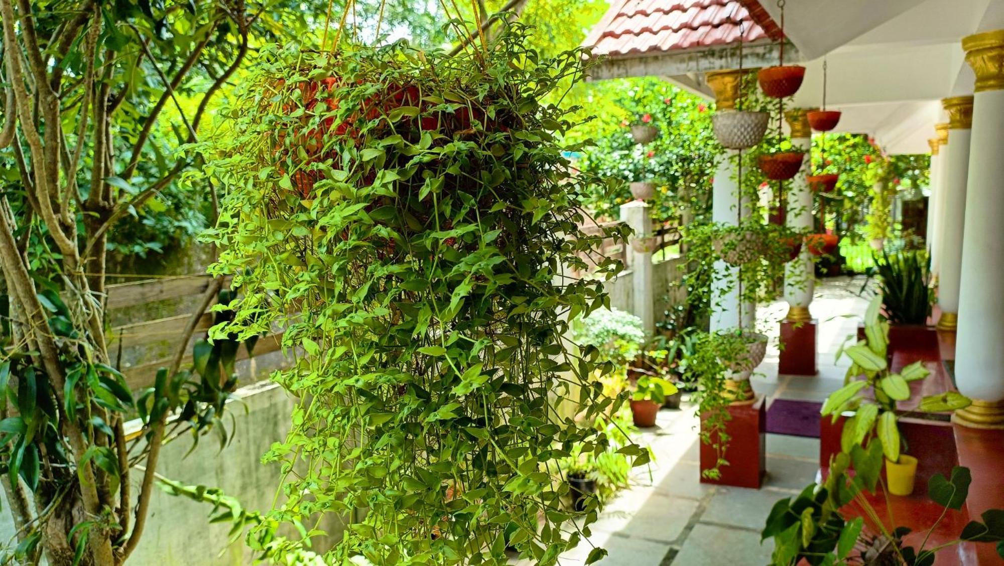 Marari Beach Cleetus Homestay Mararikulam Εξωτερικό φωτογραφία